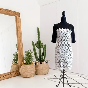 Suzi Chin Maggy Boutique Etuikleid 4 weiß Spitze Overlay Ellenbogenärmel schwarz - Bild 1 von 12