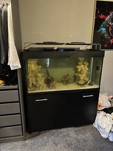 aqua one aquarium,fish tank,fish,food - Picture 1 of 13