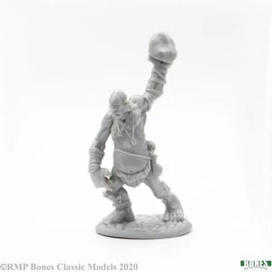 CYCLOPS Reaper Miniatures Dark Heaven Bones REM77705 D&D - Picture 1 of 3