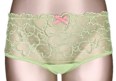 Victoria's Secret ROSA NUEVO CON ETIQUETAS Mediano Verde Cheeky Panty Malla Corazones Transparentes Lazo Guiño Foto 1 de 4