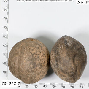2-2,5cm Moqui Marble Lebende Steine Paar mit Zertifikat & Booklet ca