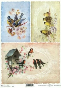 Papel de arroz ITD A/4 para decoupage - aves en nido R0212 - Imagen 1 de 1