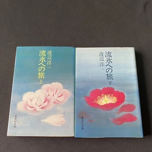 Japanese Novel Books Lot 2 Ryuhyou eno Tabi Junichi Watanabe Nihongo 流氷への旅 渡辺淳一 - Picture 1 of 11