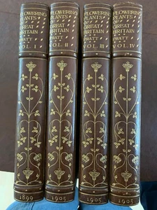 The Flowering Plants, Grasses, Sedges & Ferns of Great Britain Ann Pratt. 1899 - Picture 1 of 6
