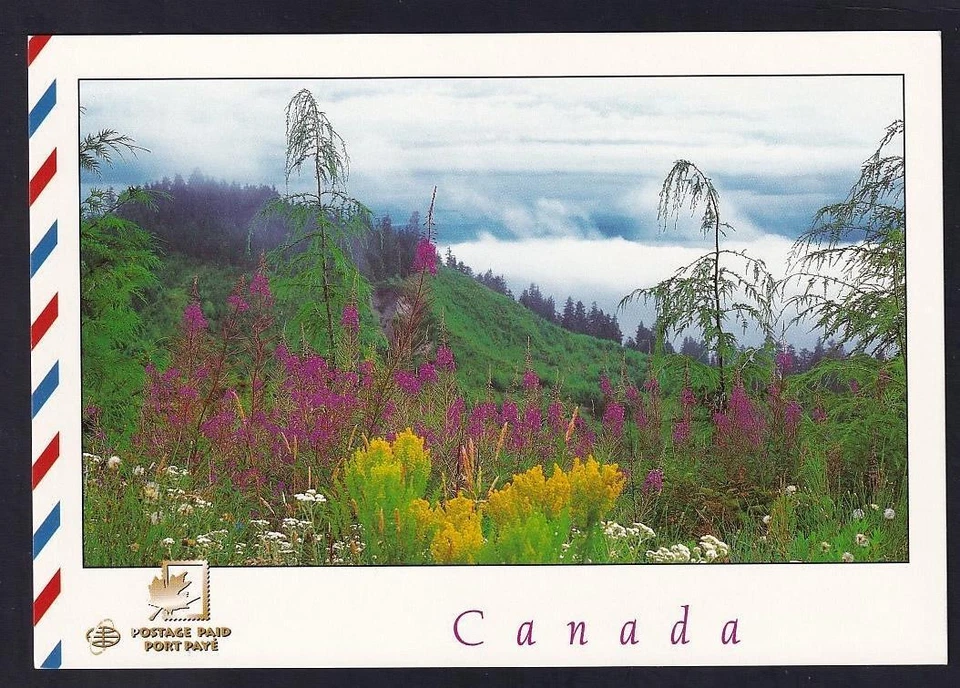Canada Wildflowers, mint prepaid The Postcard Factory, Flag sc#UX120 - Image 1 of 1