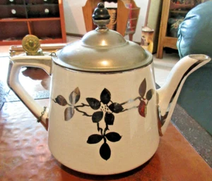 Buffalo Pottery Royal Rochester Vitrified Hand Painted Teapot Antique Insert GUC - Picture 1 of 11