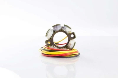 Estator Rick's Hot Shot para Suzuki RM125/RM250 1994-1997 21-812H Foto 1 de 2