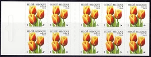 Belgium 2000 Booklet (PZB 34) Flower - Picture 1 of 1