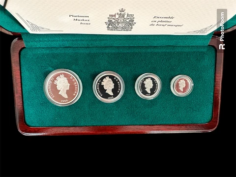 1999 Platinum Muskox Issue Canadian Coin Set Cover