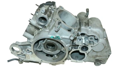 Arctic Cat Prowler 1000 Xtz H2 2009 4x4 motor cárter cárter cárter estuche conjunto Foto 1 de 4