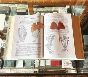 John Gerard The Herbal or General History of Plants Dover facsimile ed botany - Bild 1 von 3