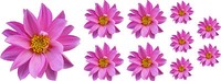 Pink Flower Decals Car Stickers Graphics Nursery Wall Window Decorations Art