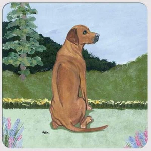 Rhodesian Ridgeback Coasters - Set of 4 - Picture 1 of 1