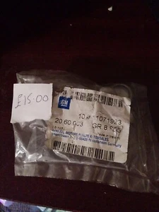Neu 9x Einlasskrümmer 19 mm Ausdehnungsstecker Original Vauxhall Astra Zafira (andere) - Bild 1 von 3