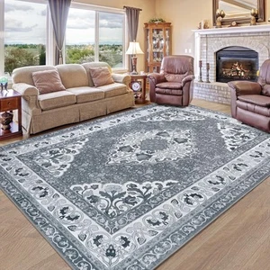 Grey 4x6 Area Rugs for Living Room, Machine Washable Low-Pile Carpet Rug for ... - Picture 1 of 7