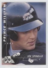 1995 Multi-Ad Prince William Cannons Joe Spinello #15