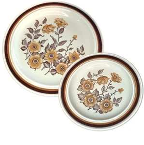 Vintage Homer Laughlin Country Inn Dinner & Salad Plate Brown Floral Leaves Band - Picture 1 of 8