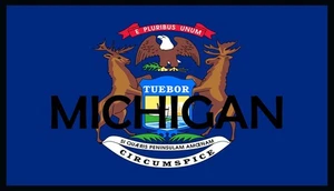 Michigan State Flag Patch W/ Hook & Loop Morale Tactical Black Border II - Picture 1 of 1