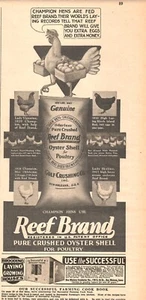 VINTAGE 1931 REEF BRAND CHICKEN FEED FOR FARMING PRINT AD - Picture 1 of 1