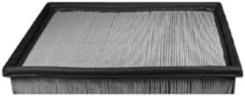 Filtro de aire-VIN: 8, Natural Hastings AF883 Foto 1 de 1