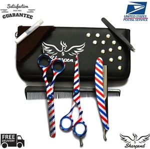 Professional Salon Hair Cutting Thinning Scissors Barber Shears Hairdressing Set - Picture 1 of 9