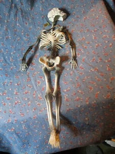c. (1097) Vintage NOS Russ Berrie Rubber Skeleton Dangly 13" High Halloween - Picture 1 of 5