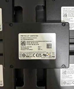 Samsung PM1743 3.84TB SSD 2.5" PCIe 5.0 NVMe U.2 MZ-WLO3T80 MZWLO3T8HCLS-01AGG - Afbeelding 1 van 4