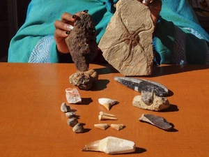 Fossil Collection Lg Orthoceras + Large Starfish +12 more 400 Mil. years old - Picture 1 of 13