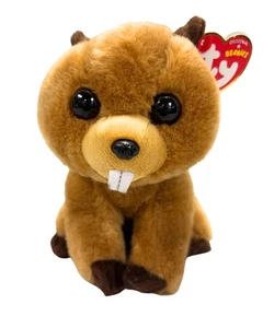 Ty Beanie Baby - Richie the Beaver, MWMT Stuffed Animal Toy - Picture 1 of 6