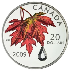CANADA $20 2009 Silver 1oz. Proof 'Crystal Raindrop' w/Swarovski Element Box/CoA - Foto 1 di 4