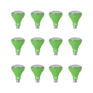 Feit Electric Light Bulb 9W Weather Resistant Daylight in Frosted (12-Pack) - Picture 1 of 8