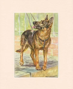 DEUTSCHER SCHÄFERHUND BLINDENFÜHRHUND ORIGINAL ALT 50er JAHRE HUND KUNSTDRUCK FERTIG MONTIERT - Bild 1 von 1