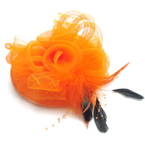 Ladies Veil Hat Flower Fascinator Feather Headdress Brooch Clip Wedding Ritual 