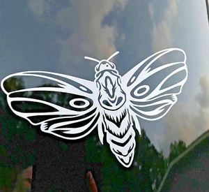 Moth Vinyl Decal 6" x 4.5"  Car Window Laptop Car Sticker Halloween Death Head - Picture 1 of 3