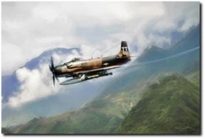 Skyraider von Peter Chilelli - Douglas A-1 Skyraider - Luftfahrtkunst - Bild 1 von 1