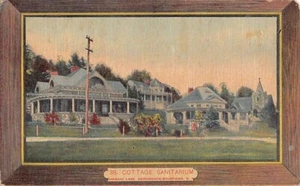 SARANAC LAKE, NY ~ COTTAGE TUBERCULOSIS SANITORIUM, Pub N.W.P. & P. ~ 1910s - Picture 1 of 2
