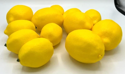 Imitación de limones artificiales resina realista decoración del hogar utilería puesta en escena lote de 12 usados en excelente estado Foto 1 de 3