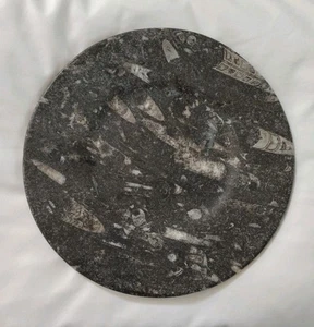 SELTENE 10" Orthoceras Fossil Platte - Meerestiere von vor 350 Millionen Jahren - Bild 1 von 9