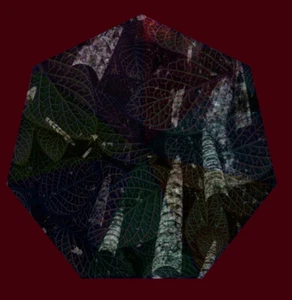 Fabio Cuomo Sette studi fra quiete ed inquietudine CD 2018 - Picture 1 of 1