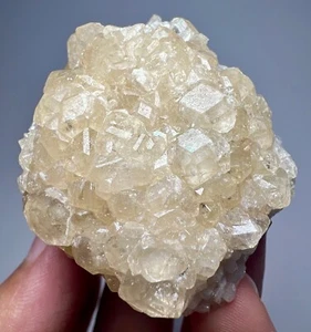 109 GM Ultra Rare New Found White Garnet Crystals Bunch On Matrix @ArangBarang - Picture 1 of 17