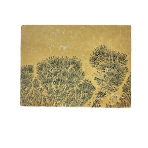 Piedra caliza dendrítica, losa, cableado áspero, lapidario, #R-6455 - Imagen 1 de 10