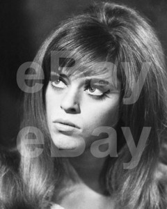 Edina Ronay 10x8 Photo