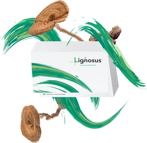 Lignosus Organic Tiger Milk Mushroom Sachets Lung Detox Cleanse 30 Sachet Box - Bild 1 von 18