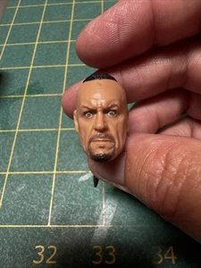 Equipo de motociclista Undertaker cabeza cola de caballo WWE Elite - Imagen 1 de 5