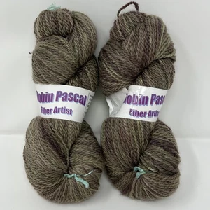 2 Nuevos Hanks Robin Pascal Pintados a Mano Lana Seda Otoño Varios Colores DK 300yds - Imagen 1 de 8