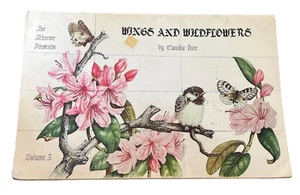 Vintage WINGS AND WILDFLOWERS Vol. 3 CLAUDIA NICE 1983 Drawing & Painting BOOK - Picture 1 of 2
