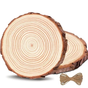 Dischetti Legno 2 Pezzi 20-22 cm Non Alesati Tronco di Albero 15 mm di Spessore - Foto 1 di 24