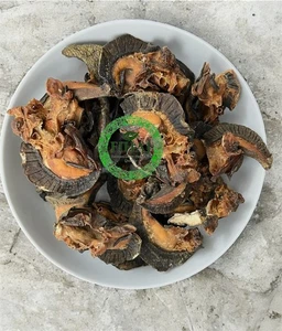 Lumaca essiccata al forno dimensioni extra large, lumaca nigeriana africana extra large 5 pezzi - Foto 1 di 6