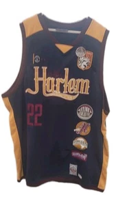 Harlem Globetrotters Limited Edition Patch Jersey PLATINUM FUBU 3XL #22 GEESE - Picture 1 of 9