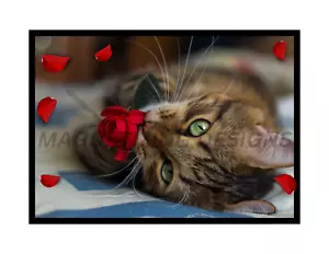 Lindo gato con imán de refrigerador flexible rosa - Imagen 1 de 1